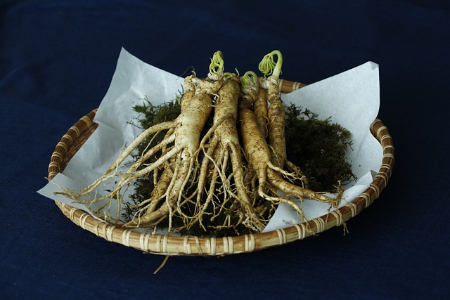 Panax ginseng Image